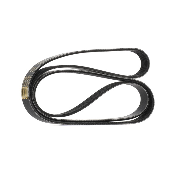 RIDEX PLUS 305P0157P Timing belt kit 2.3 143 hp E5FC
