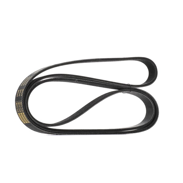 RIDEX PLUS 305P0388P Correia do alternador Jaguar X540 2.0 D200 MHEV AWD 204 cv 204DTY(AJ21D4)
