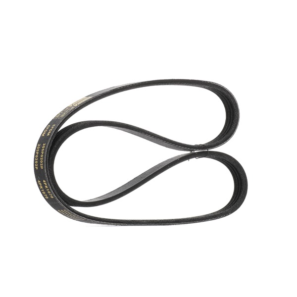 RIDEX PLUS 305P0202P Commande à courroie / chaîne Lexus IS XE10 200 (GXE10) 155CV 2002