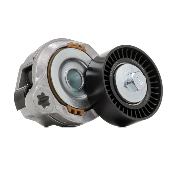 RIDEX PLUS 541V0018P Chaîne de distribution 2.4 D 163CV 2007