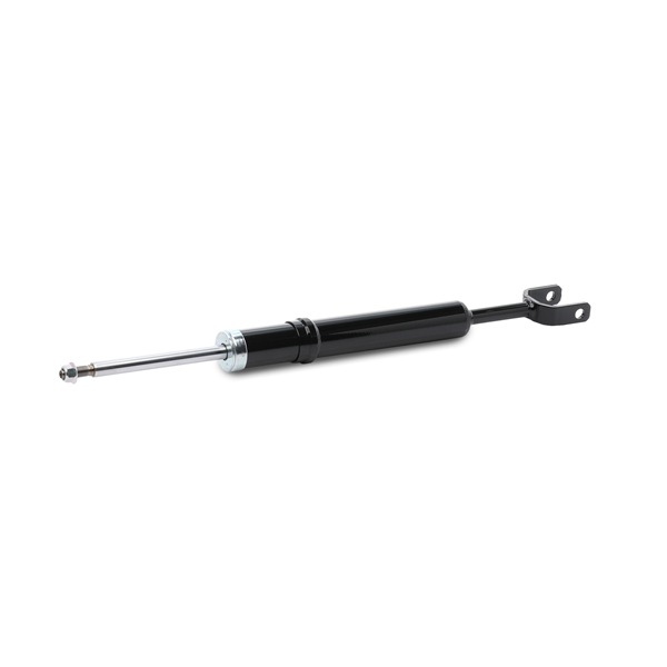 RIDEX 854S19459 Stoßdämpfer Passat 3B5 2.8 V6 180 PS AGE