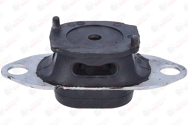 BIRTH 57091 Fasce elastiche 1.0 SCe 65 (BCMJ) 65 CV B4D413
