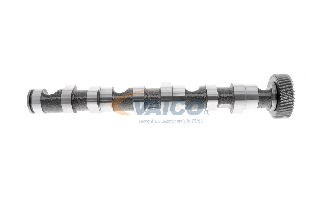 AUDI VAICO Kamakselsett V10-0869