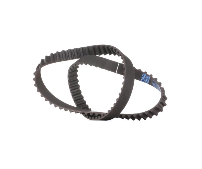 DAYCO 94785 Tensor de cadena de distribución 1.6 i 75 cv K7M 720