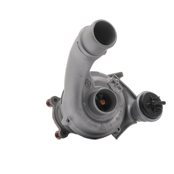 RIDEX REMAN 2234C10748R Turbo Renault Scenic 1 1.9 dCi 102 hp F9Q 733