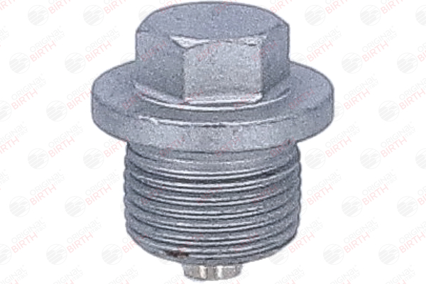 BIRTH 40603 Fasce elastiche 3.8 Carrera 286 CV M 64.06S