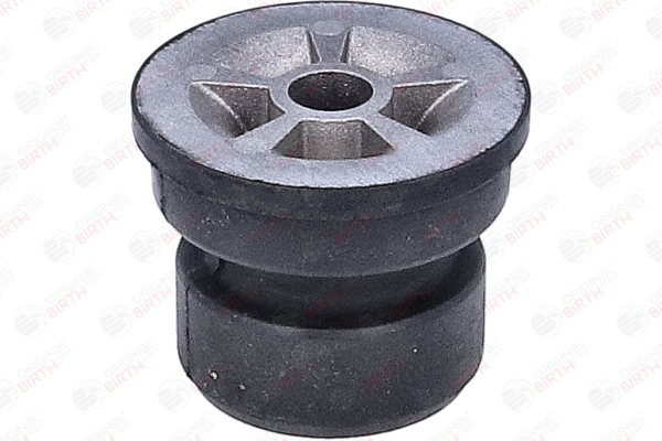 53927 BIRTH Łożyskowanie, korpus osi Oś tylna