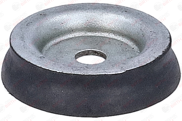 53928 BIRTH Łożyskowanie, korpus osi Oś tylna, na dole