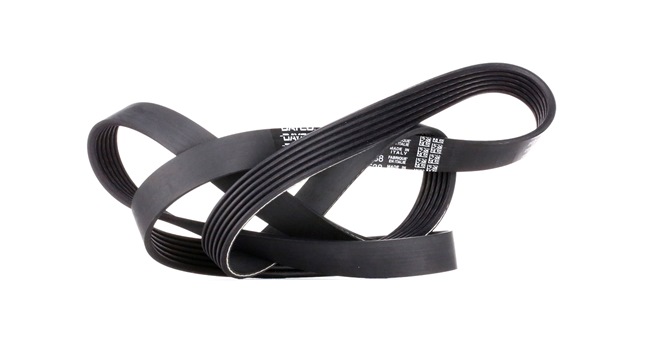 DAYCO 6PK1538 Multiriem Golf 1j5 1.6 FSI 110 Pk BAD