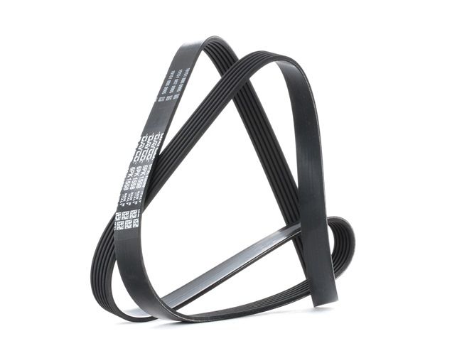 DAYCO 6PK1558 Ιμάντας poly-V DS3 Cabrio 1.2 VTi 82 82 PS HMZ (EB2F)