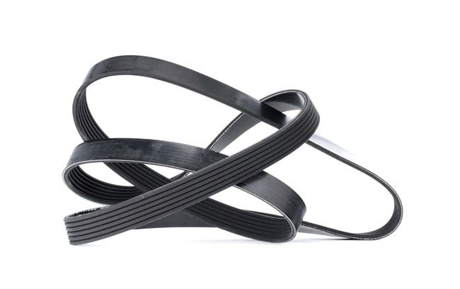 DAYCO 6PK1565 Ιμάντας poly-V DS3 Cabrio 1.2 VTi 82 82 PS HMZ (EB2F)