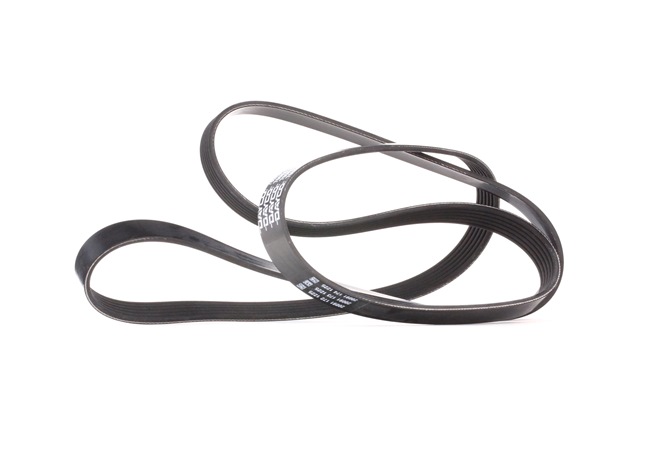 DAYCO 6PK1930 Timing belt kit 2.0 114 hp NSG