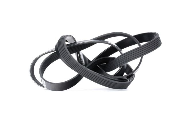 Comparare 6PK2460 Cinghia Poly-V 2460,0mm, N° di nervature: 6 da DAYCO 0089971092, 0099975892, 99975892 a buon mercato