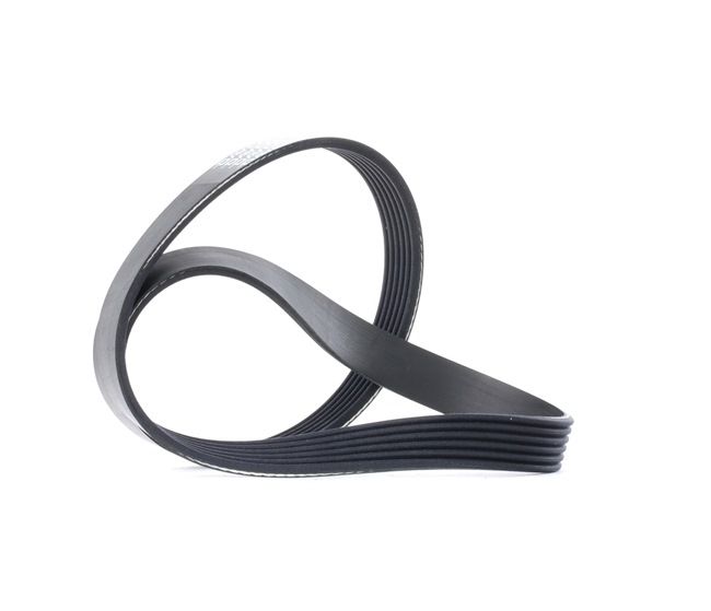 DAYCO 6PK894 Steuerkette 2.0 107 PS AEP