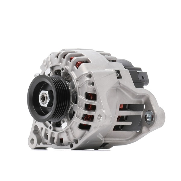 RIDEX PLUS 4G0032P Lichtmaschine Passat 3B5 1.9 TDI 110 PS AVG
