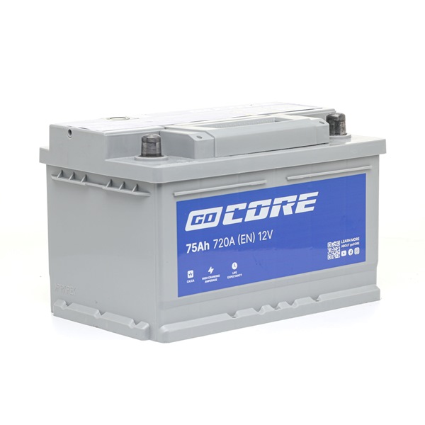 goCORE GCA0022 Battery Ford Transit MK5 2.5 TD 75 hp 4HD