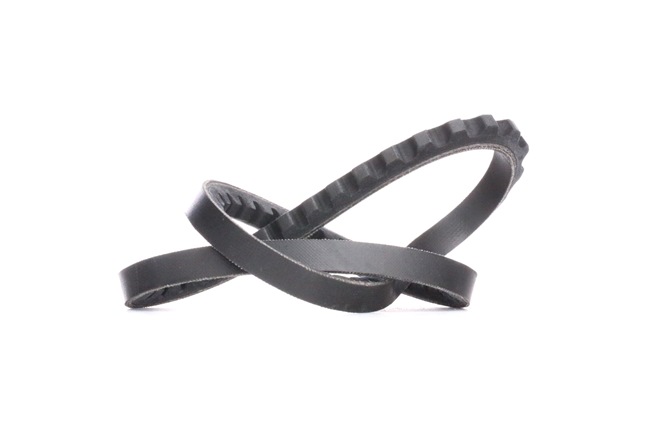 DAYCO 10A0665C Polea tensora 2.4 TD 94 cv 4FG1T