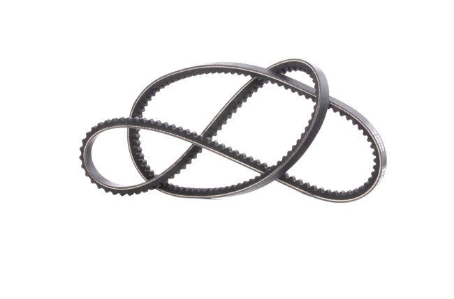DAYCO 10A1175C Keilrippenriemensatz 1.6 50 PS CZ