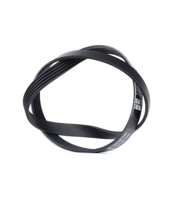 OPEL DAYCO Auxiliary belt 5PK938