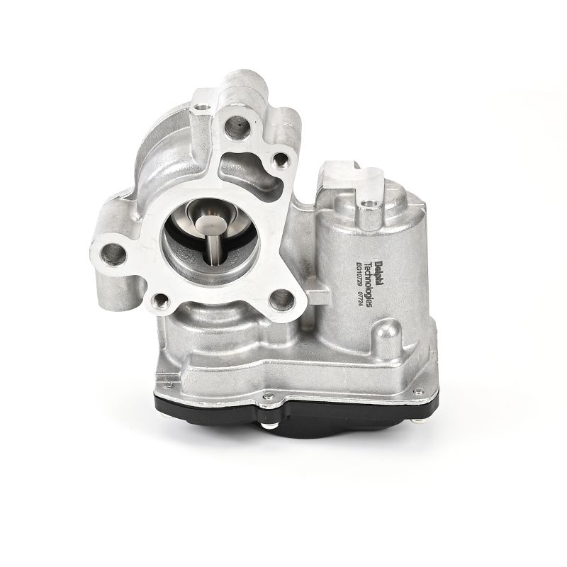 DELPHI EG10729-12B1 Forreste lydpotte 1.7 Blue dCi 120 (J9A7, J9A8) 120 HK R9N 400