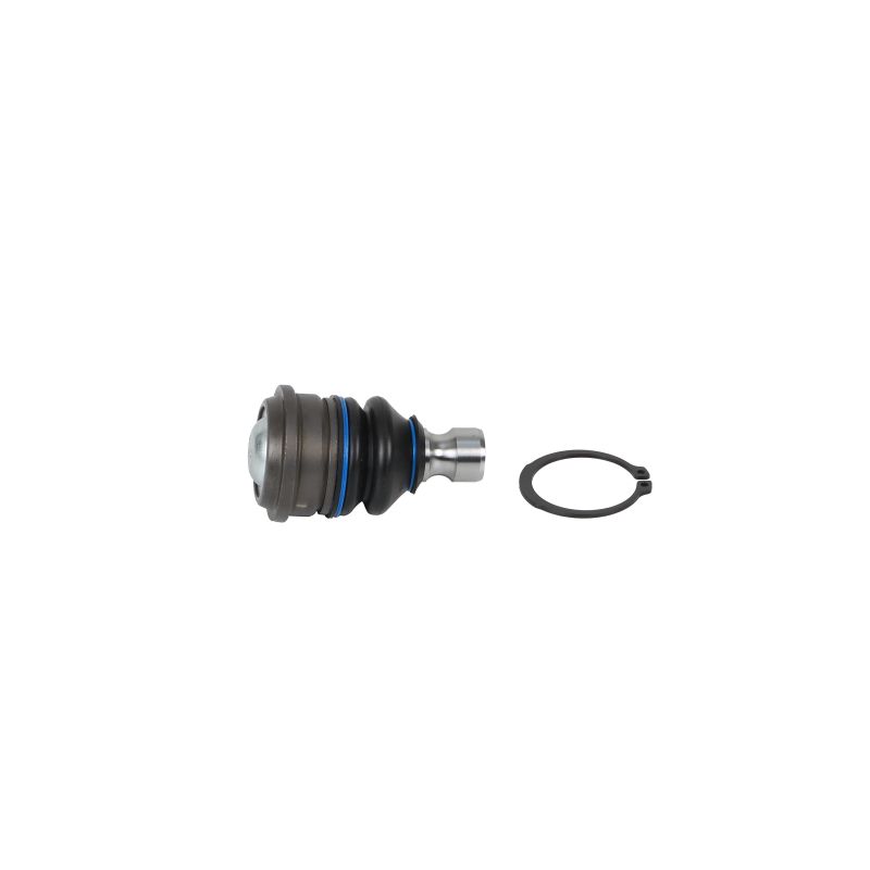 DELPHI TC8549 Differenziale e-XGi 160 126 CV G16DF