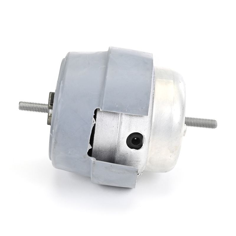 DELPHI TEM288 Motorlager Audi A4 8h 1.8 T quattro 163 PS BFB