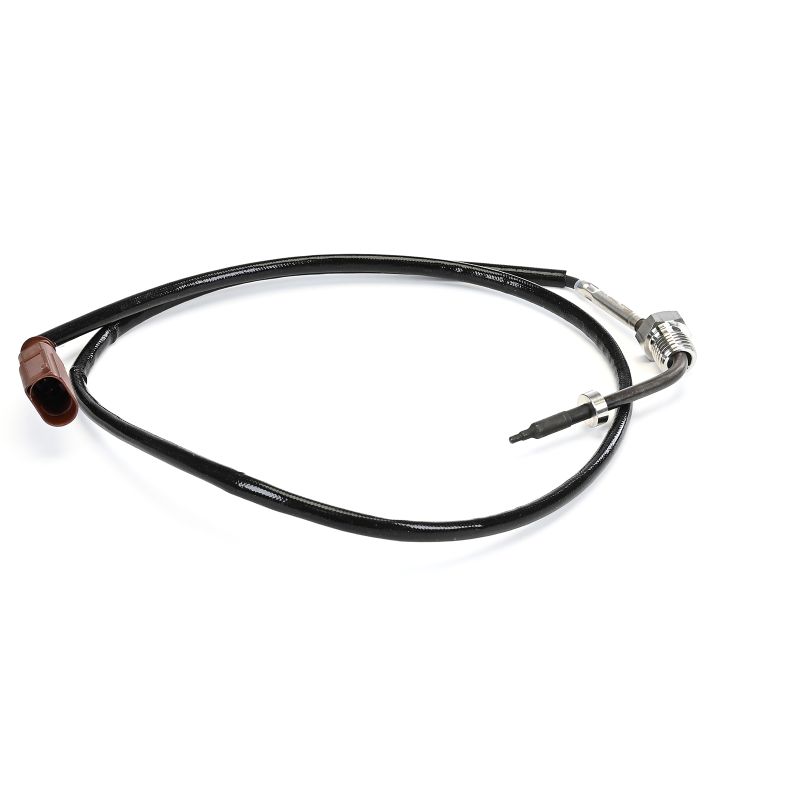 DELPHI TS30409-12B1 Abgastemperatursensor Audi A3 Limousine 1.6 TDI 115 PS DDYA