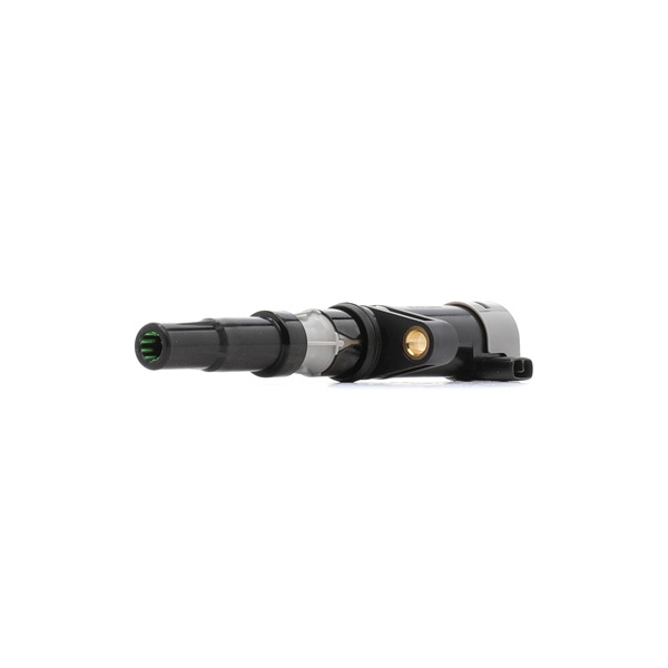 goCORE GCF890001 Tændspole Dacia Duster Van 1.6 16V Hi-Flex 105 HK K4M 696
