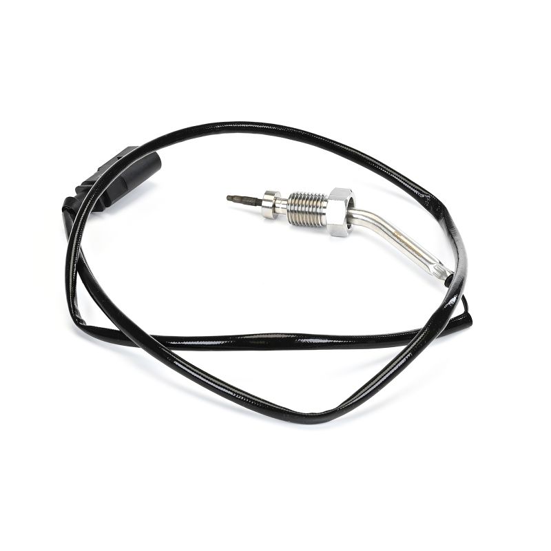 VW DELPHI Temperature probe TS30016-12B1