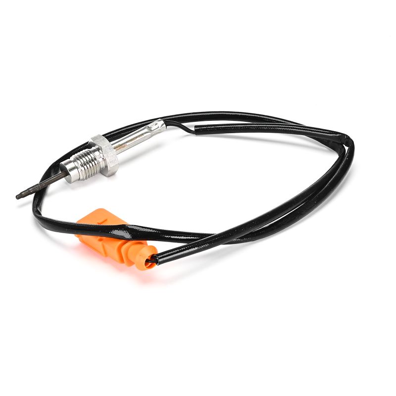 AUDI DELPHI Temperature Probe TS30390-12B1