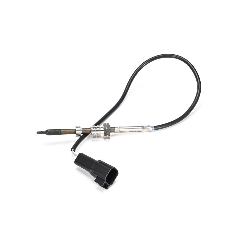 DELPHI TS30413-12B1 Sensore di temperatura Ford Transit Connect MK2 1.5 TDCi 75 CV XUGA