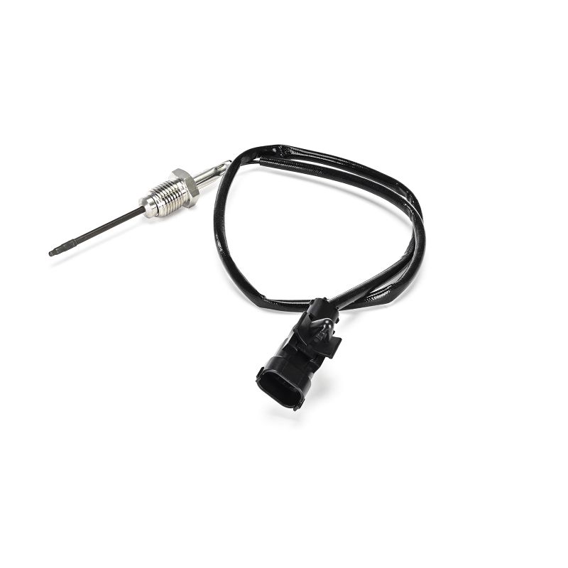 DELPHI TS30419-12B1 Αισθητήρας θερμοκρασίας FIAT Ducato III Φορτηγό πλατφόρμα / Σασσί (250, 290) 2.3 D 150 Multijet 150 PS F1AGL411C
