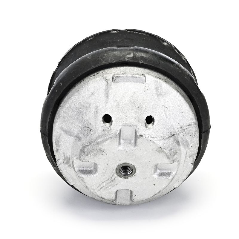 DELPHI TEM132 Supporto motore Mercedes S210 E 320 T CDI (210.226) 197 CV OM 613.961