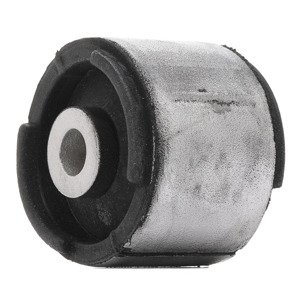 RIDEX PLUS 251T0058P Suspension bushes BMW 3 Compact (E46) 316ti 1.8 115 hp N42 B18 A