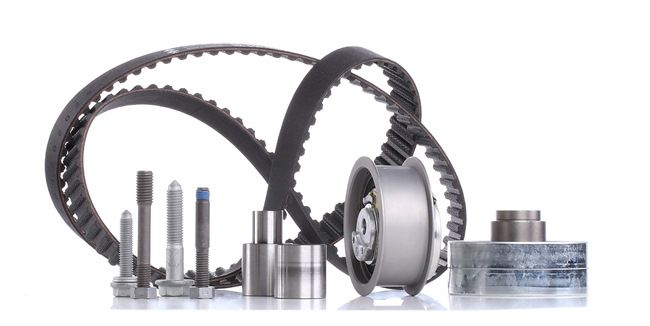 INA 530 0082 10 Kit de distribution VW Bora 1j2 1.9 TDI 4motion 90CV 2001