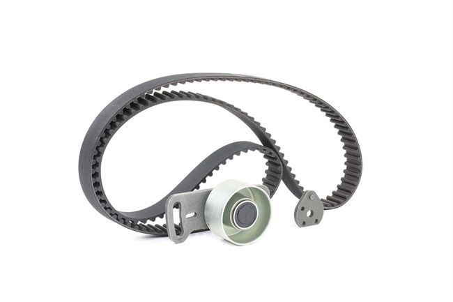 INA 530 0189 10 Rolă întinzătoare curea accesorii 2.1 D 60 CP J8S 330