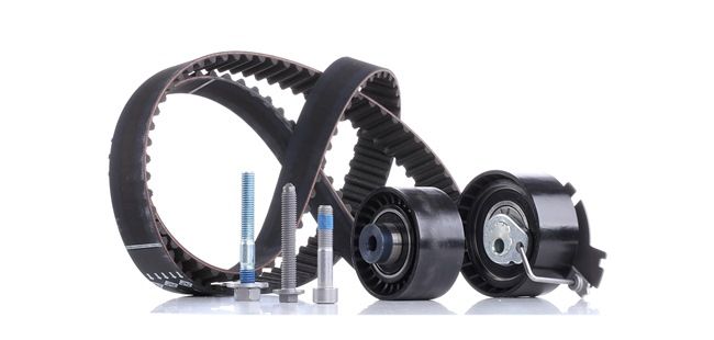 INA 530 0379 10 Keilrippenriemensatz 1.6 Flex 113 PS NFX (TU5JP4)