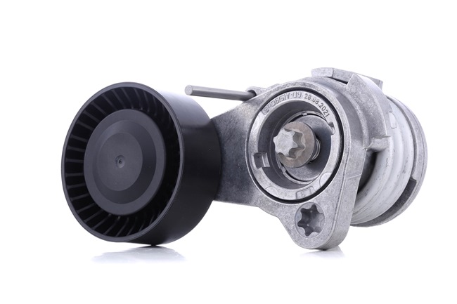 INA 534 0252 10 Kit cinghia di distribuzione 325 xi 218 CV N53 B30 A