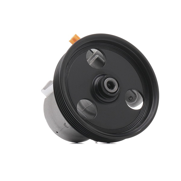 RIDEX REMAN 12H0041R Servopump Renault Scenic 1 1.6 BiFuel (JA04) 107 hk K4M 712