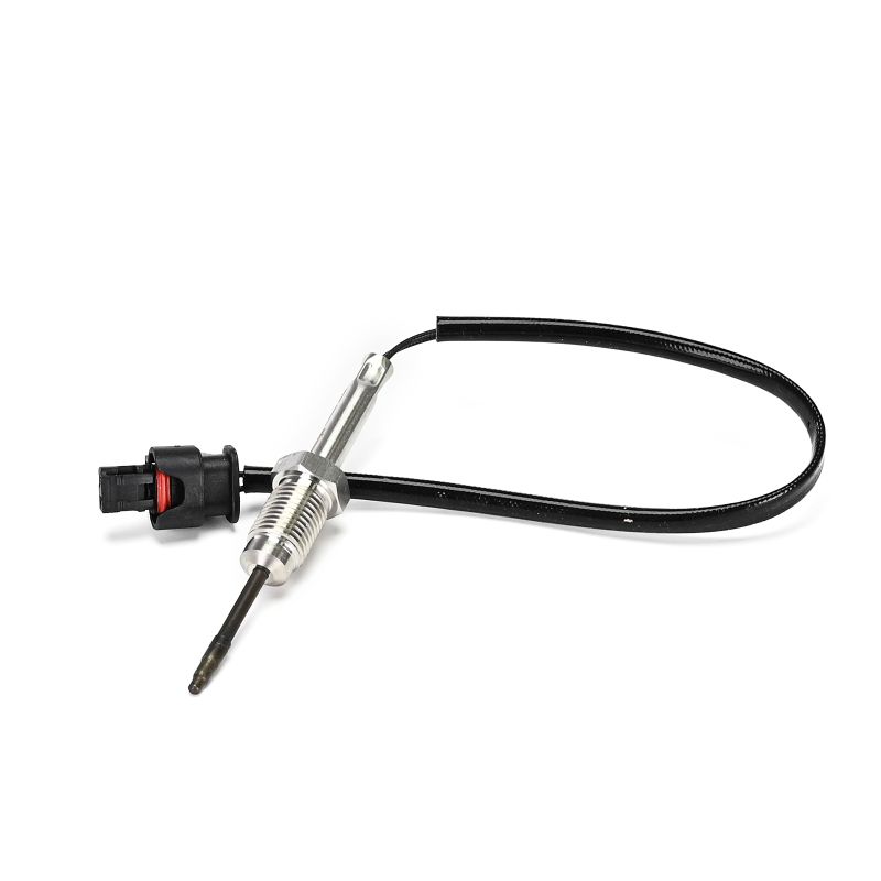 DELPHI TS30363-12B1 Sensore di temperatura BMW F34 320 d xDrive 163 CV N47 D20 C