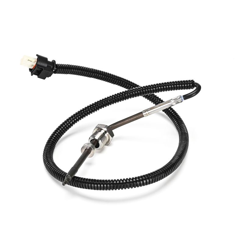 DELPHI TS30391-12B1 Αισθητήρας θερμοκρασίας Mercedes S213 E 350 d (213.222) 286 PS OM 656.929