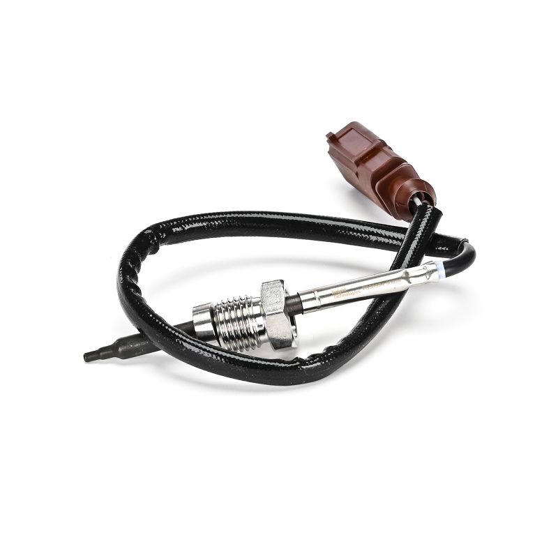 CUPRA DELPHI Temperature Probe TS30394-12B1
