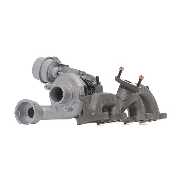 RIDEX REMAN 2234C11447R Turbina Skoda Fabia 6y5 1.9 TDI 100 CV AXR