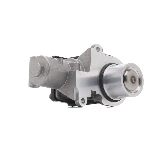 PIERBURG 7.00789.10.0 Uitlaat 4.2 TDI quattro 326 Pk BTR