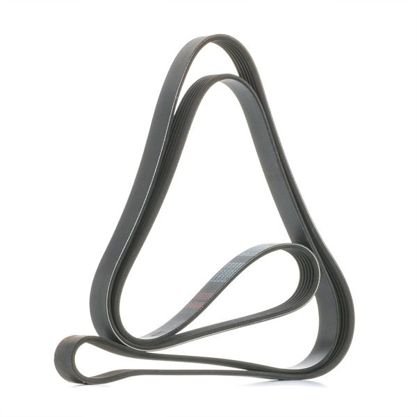 VW MAPCO Poly-V-riem 262125