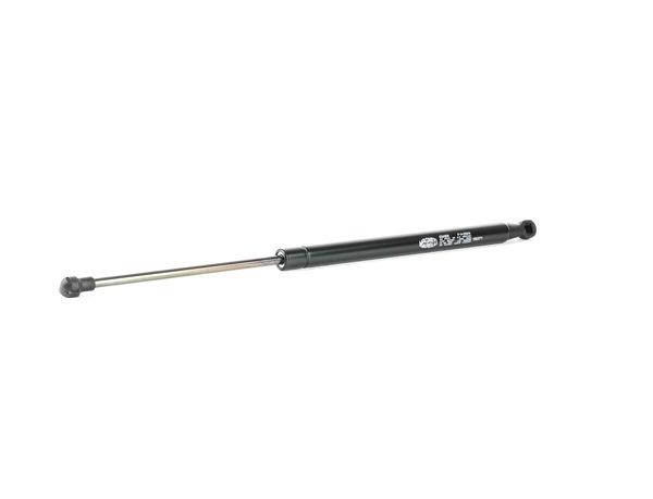 ABARTH MAGNETI MARELLI Boot struts 430719085000