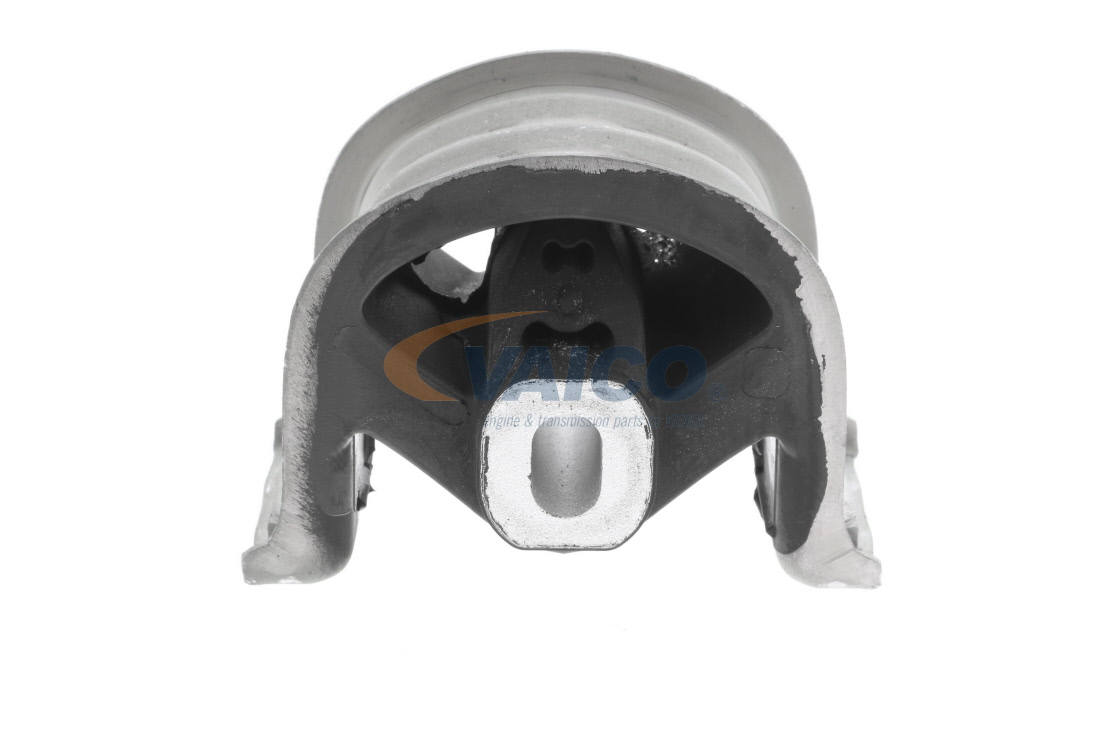 VAICO V10-2431 Fasce elastiche 2.0 TDI 116 CV CSDA