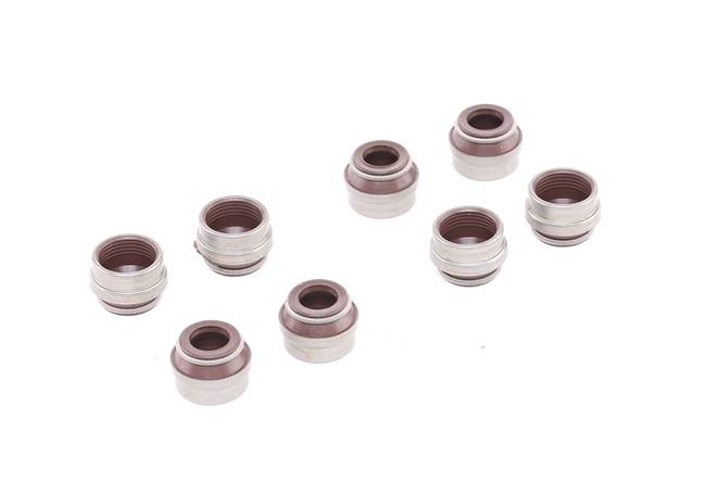 AJUSA 57004900 Dichtungssatz, Ventilschaft Passat 3B5 1.9 TDI 90 PS
