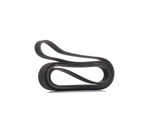 DAYCO 7DPK2569 Distributieset 4.0 W8 4motion 275 Pk BDN