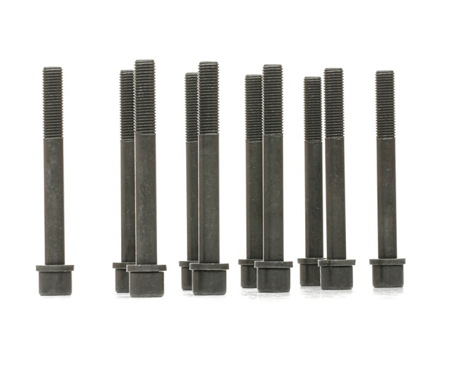 REINZ 14-32159-01 Carter de distribution 1.8 16V 137CV 1989